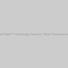 Image of Cell Meter™ Autophagy Assay Kit *Blue Fluorescence*